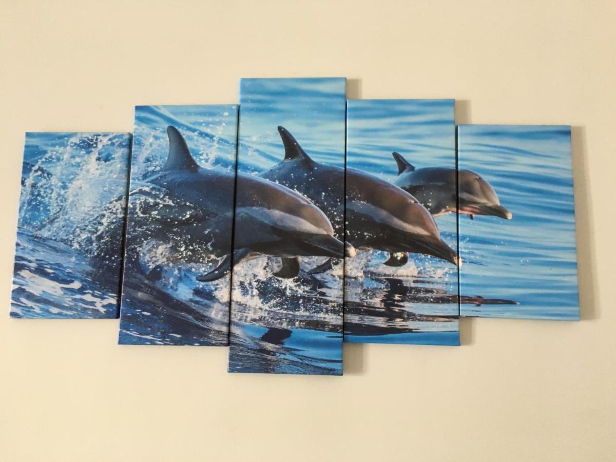 Willa Dolphin Maeva Residencial Puerto Peñasco Zewnętrze zdjęcie